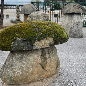 Les champignons en pierre