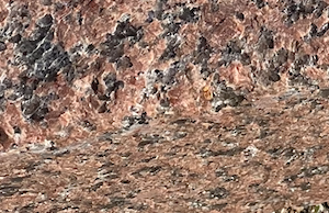 Vente Bordure allée granit de couleur en 50 cm - Les pierres du paysage