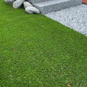 Vente Gazon green mania naturalment - Les pierres du paysage